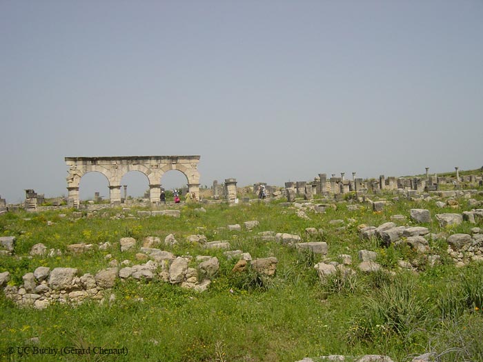 DSC00714