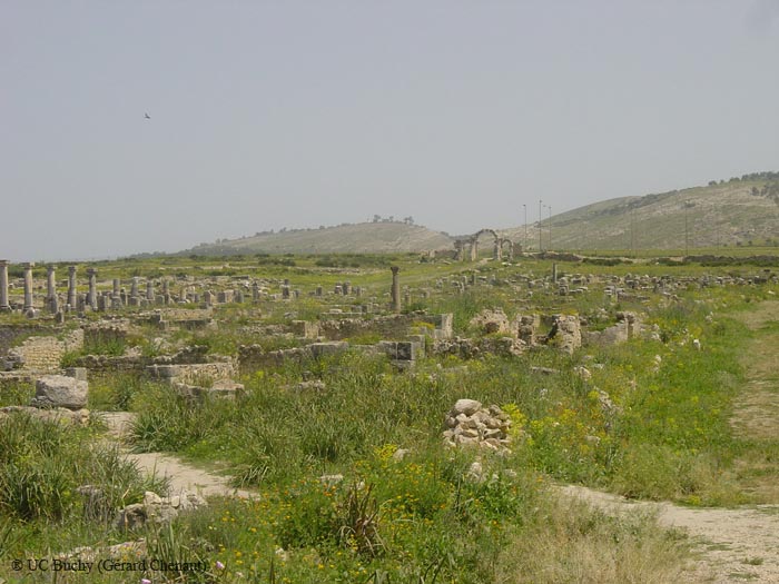 DSC00715