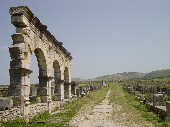 DSC00716
