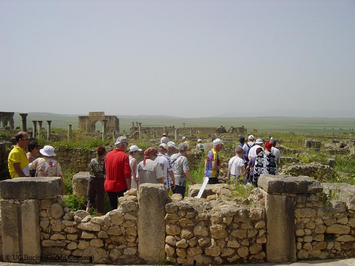 DSC00718