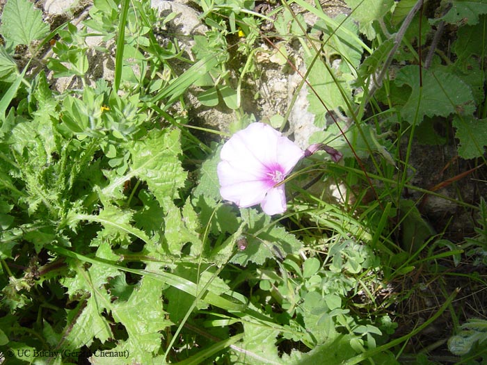 DSC00719