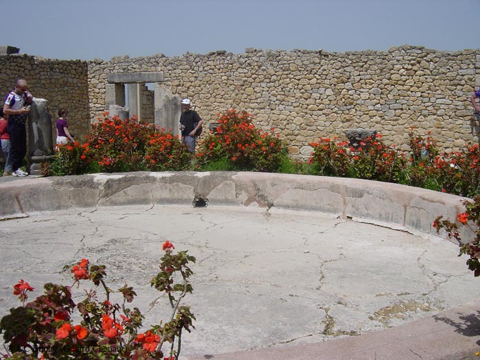 DSC00721