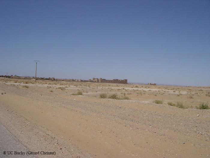 DSC00728