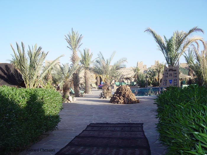 DSC00757
