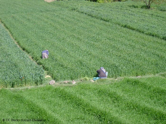 DSC00778