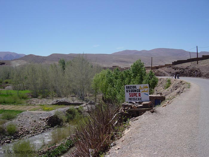 DSC00787