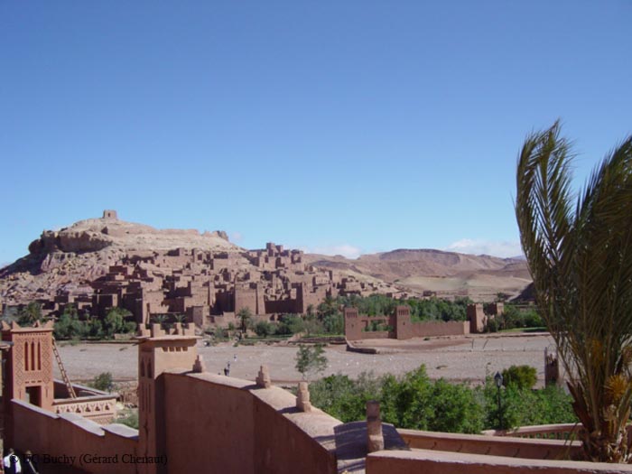 DSC00800
