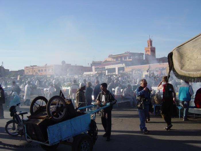 DSC00832