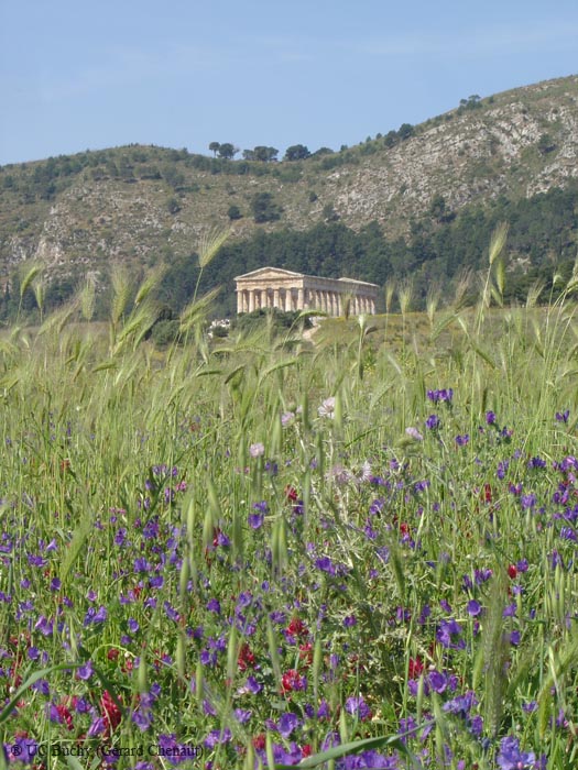 Sicile 2008 (110)