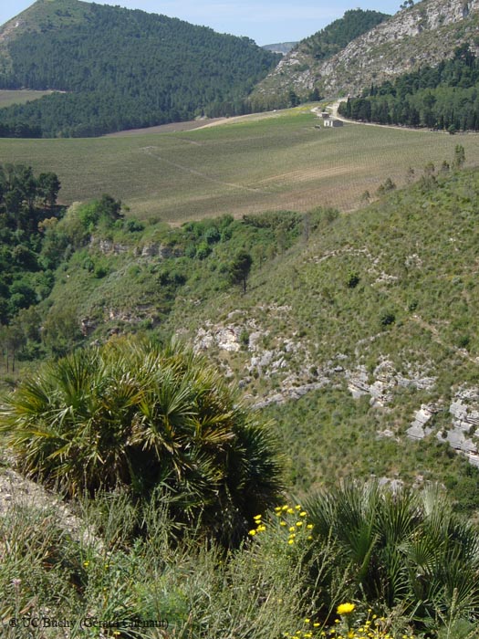 Sicile 2008 (115)