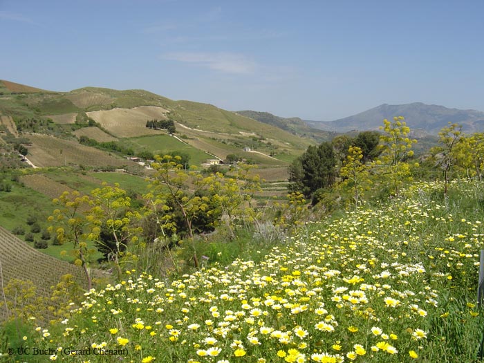 Sicile 2008 (116)