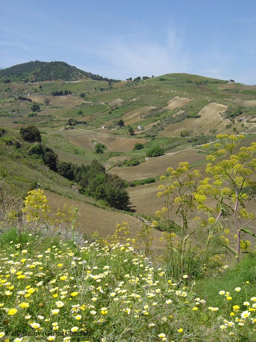 Sicile 2008 (117)