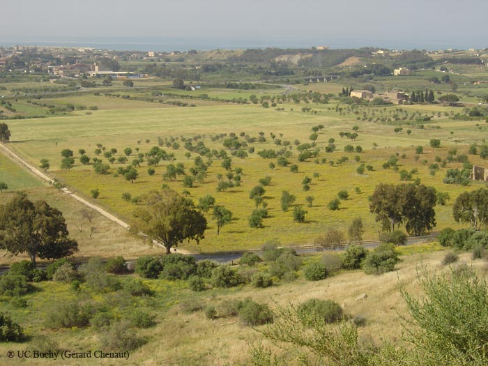 Sicile 2008 (154)