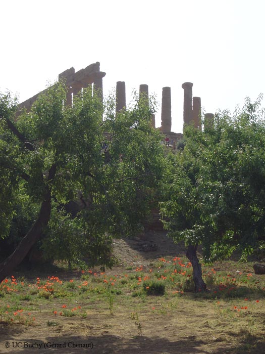 Sicile 2008 (159)