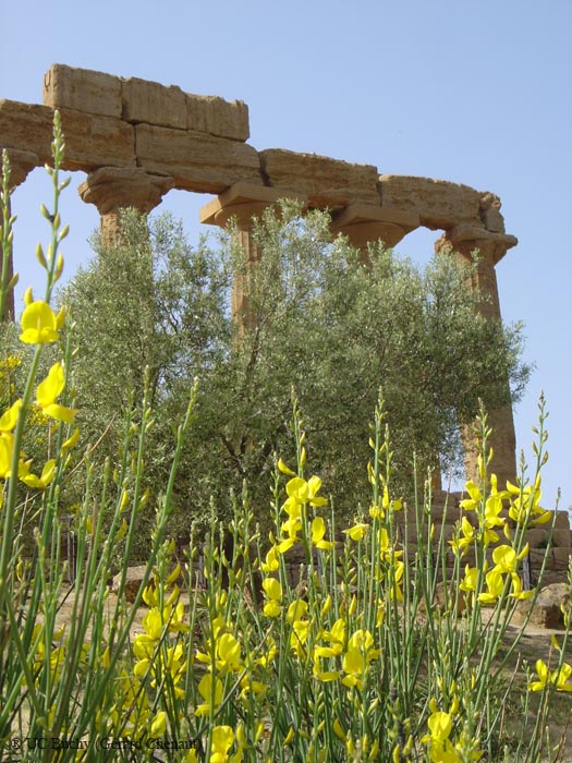 Sicile 2008 (160)