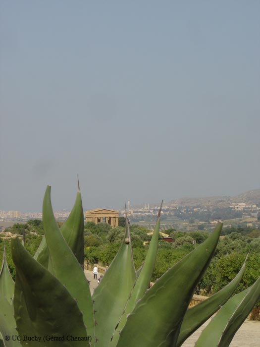 Sicile 2008 (161)