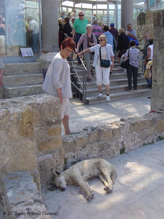 Sicile 2008 (178)