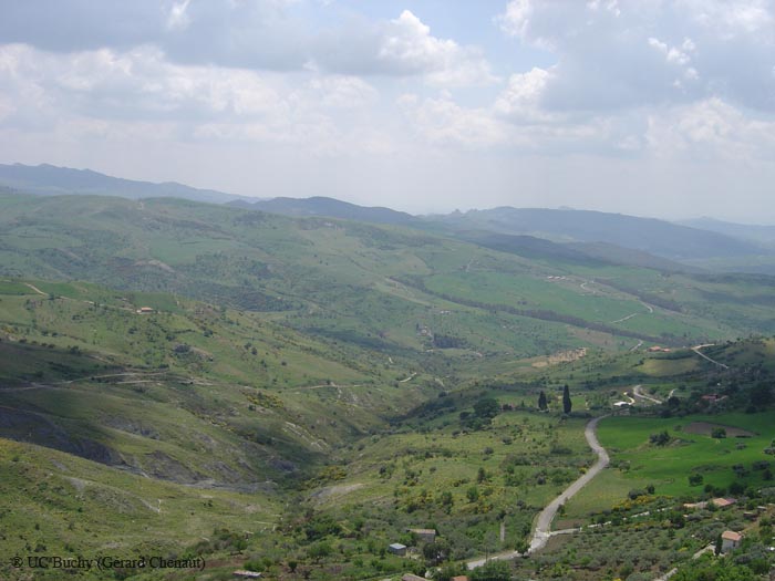 Sicile 2008 (223)