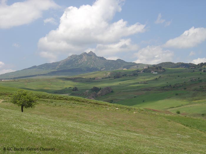 Sicile 2008 (224)
