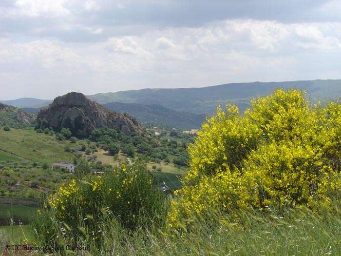 Sicile 2008 (225)