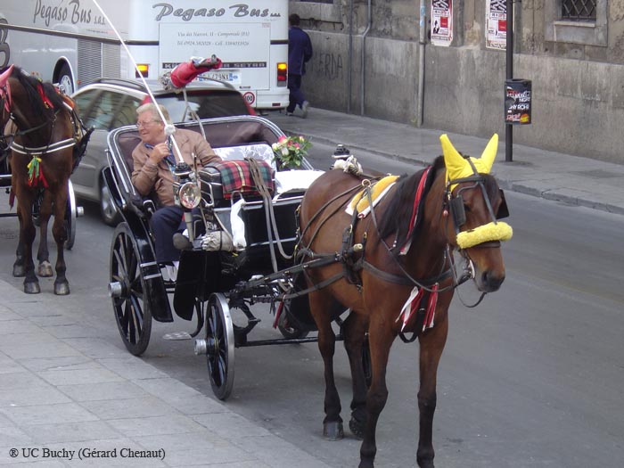 Sicile 2008 (259)