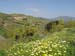 Sicile 2008 (116)