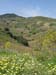 Sicile 2008 (117)