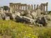 Sicile 2008 (124)