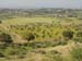 Sicile 2008 (154)