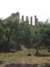 Sicile 2008 (159)