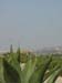 Sicile 2008 (161)