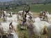 Sicile 2008 (163)