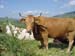 Sicile 2008 (219)