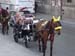 Sicile 2008 (259)