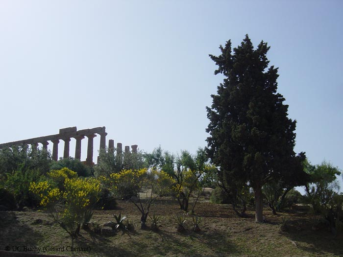 Sicile2008 (189)