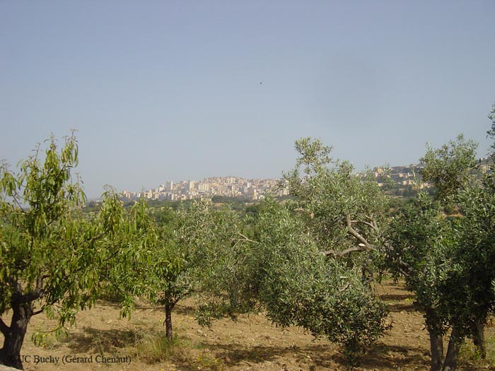 Sicile2008 (195)