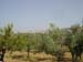 Sicile2008 (195)