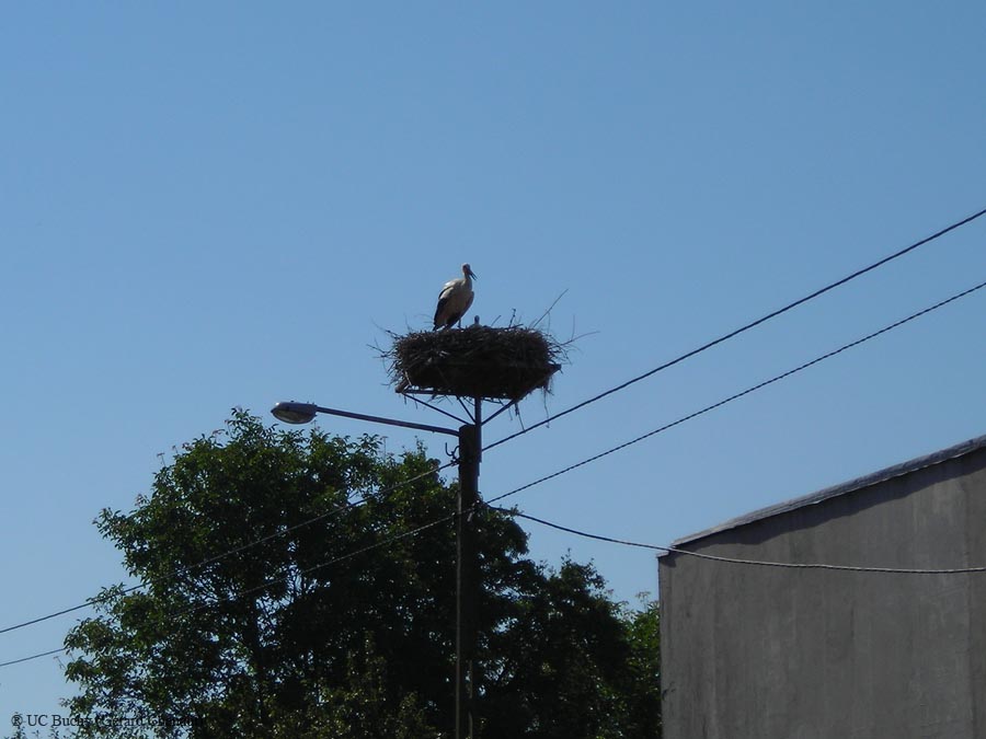 DSCN0068