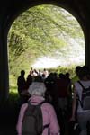 CopiedeIMG_9924_redimensionner