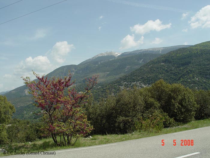 DSC05277